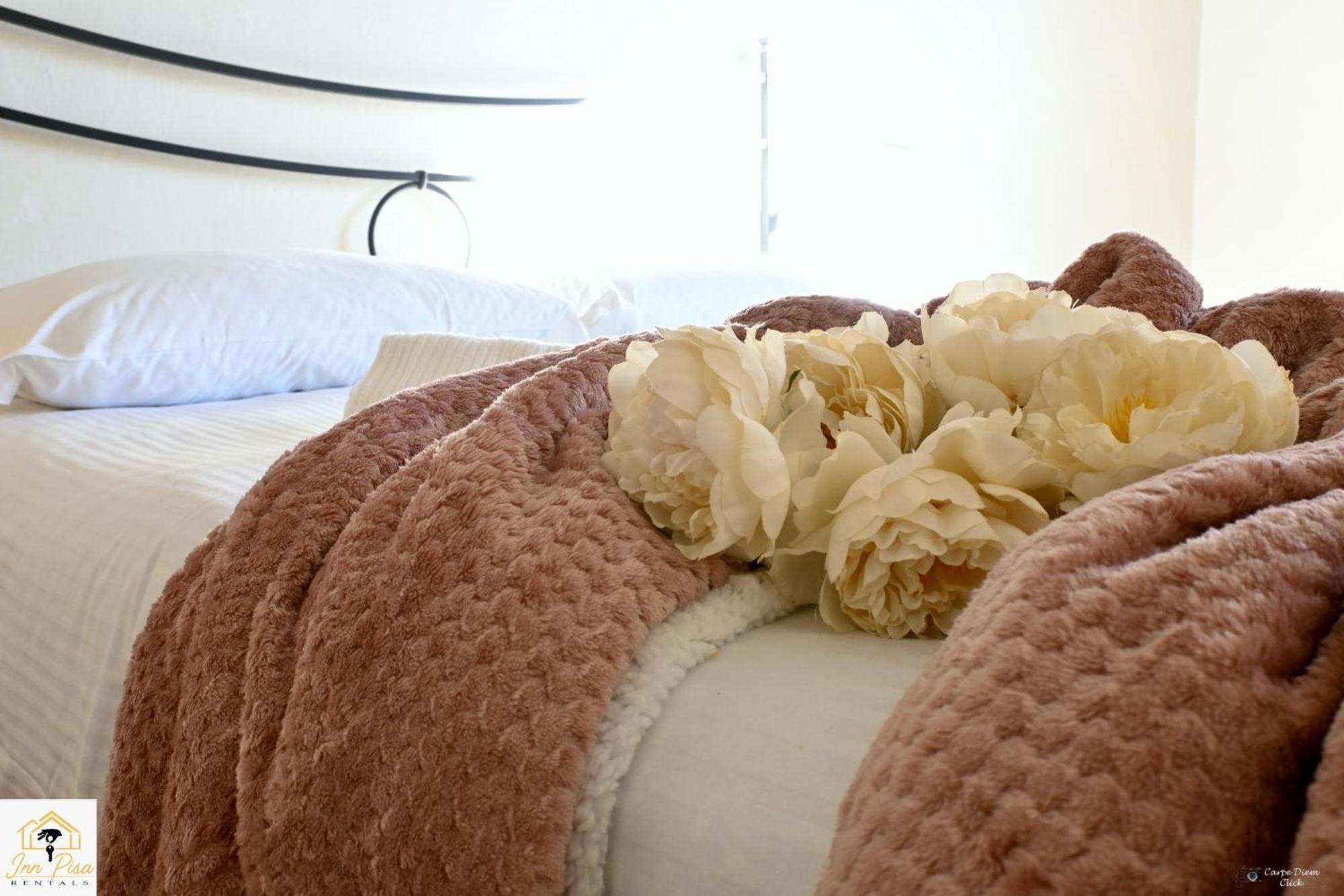 Inn Pisa Rentals 2- San Francesco Flat Luaran gambar